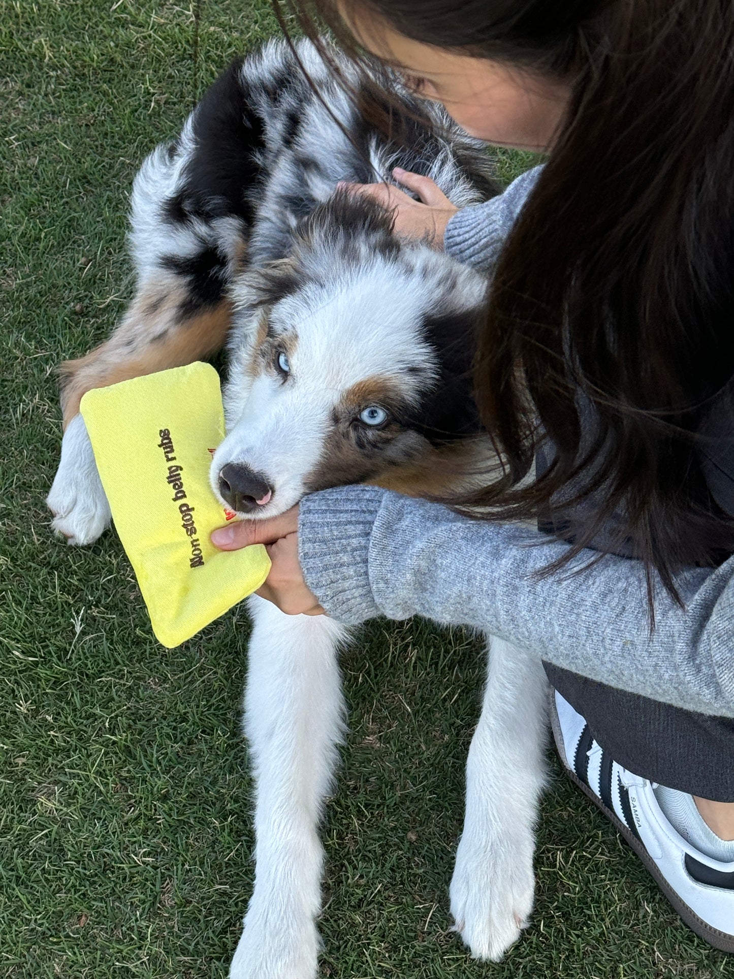 "non-stop belly rubs" love letter