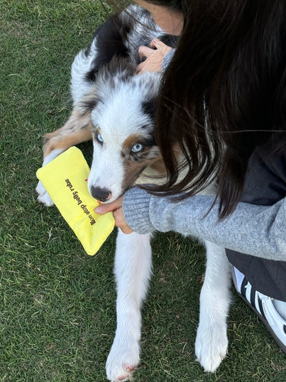 "non-stop belly rubs" love letter