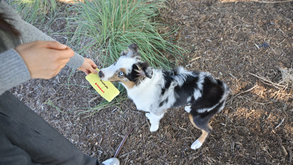 "treats pls" love letter