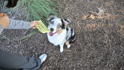 "treats pls" love letter